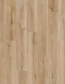 Lucent Oak
