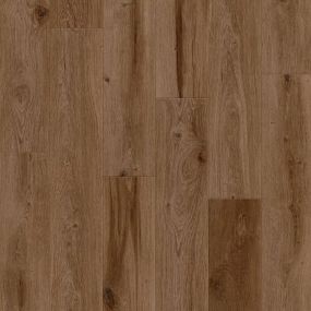 Cinnamon Bark Oak