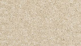 Tectonic - Bleached Almond