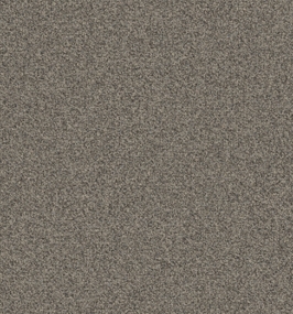 Rule Breaker - Nickel